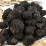 La truffe Melanosporum est la vedette au cours de cuisine d'Hubert Maetz au Rosenmeer