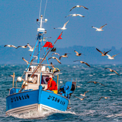 Vendredi Saint : Stockfesch...